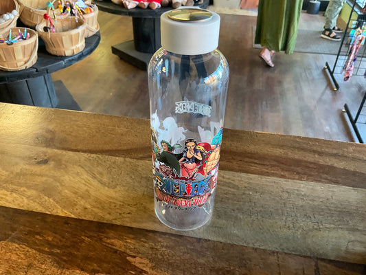 One Piece plastic water bottle w/ UV dtf graphic