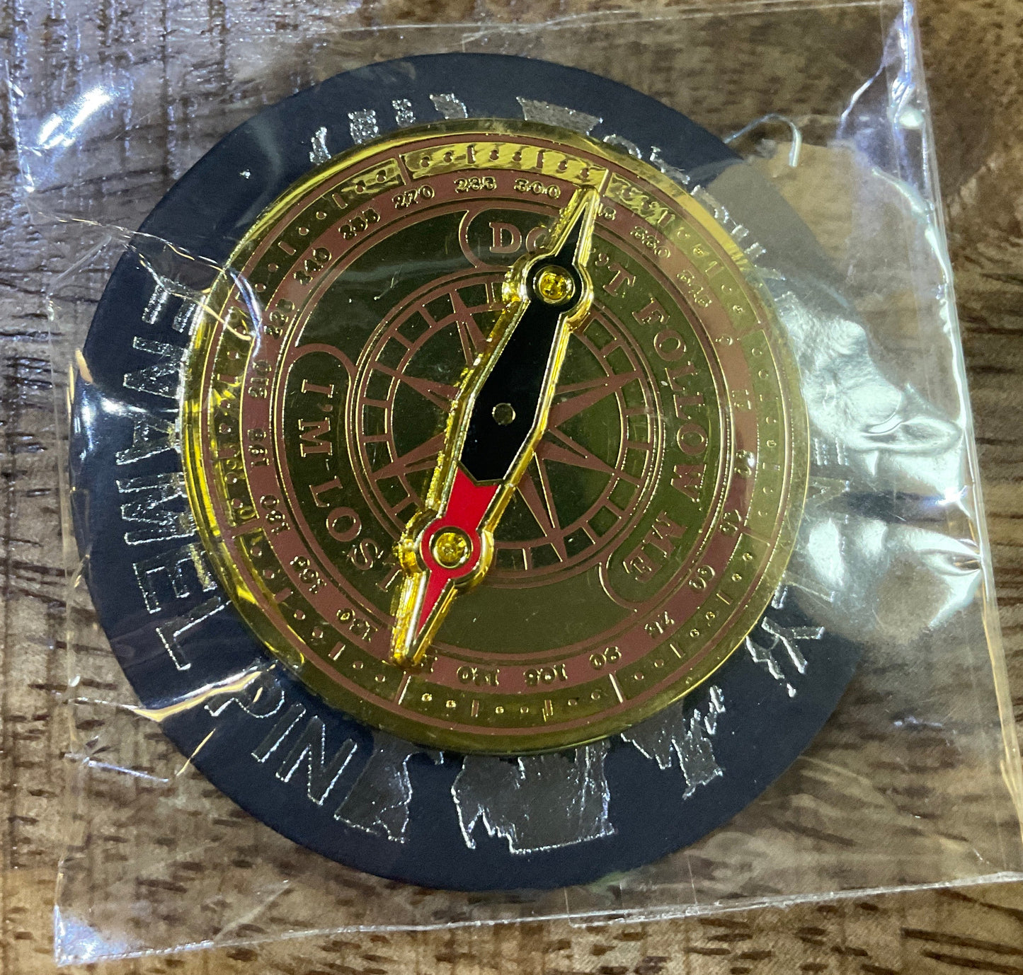 SPINNING COMPASS DELUXE ENAMEL PIN